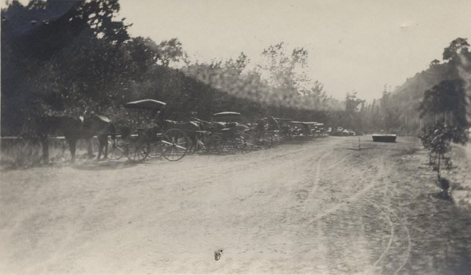 Horses and buggies at Alum Rock Park near San Jose about 1908