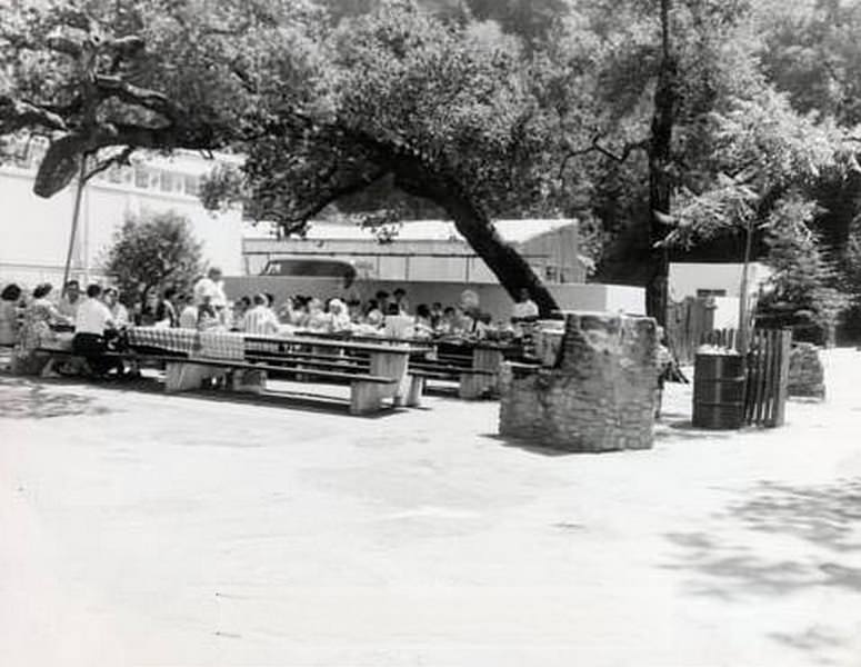 Picnic tables at Alum Rock Park, 1959