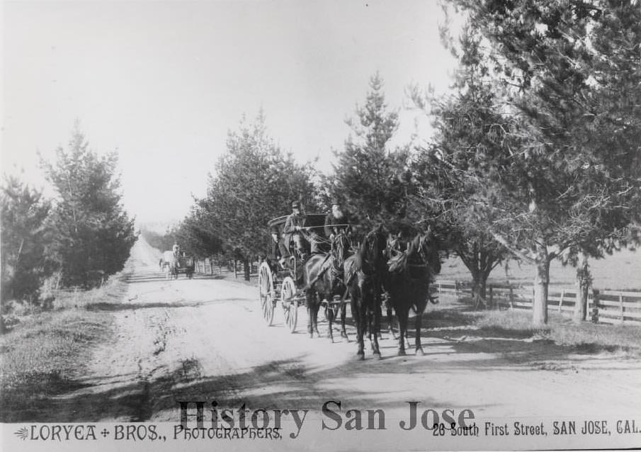 Stagecoaches enroute to Mount Hamilton on Alum Rock Avenue near the San Jose Country Club, 1895
