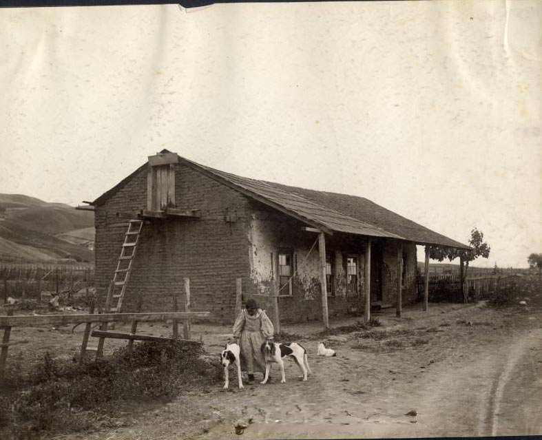 Adobe house on the Berryessa Place, one of the first built in this county near San Jose, 1903