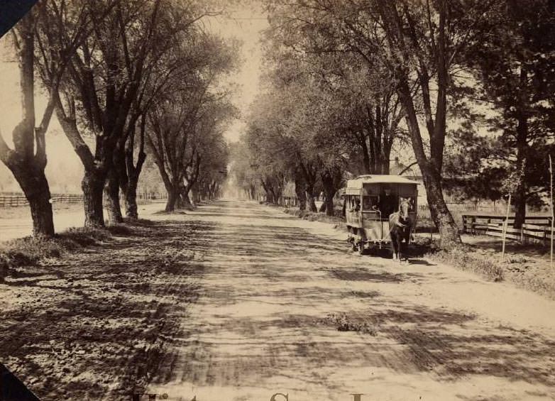 Horsecar on The Alameda, 1895