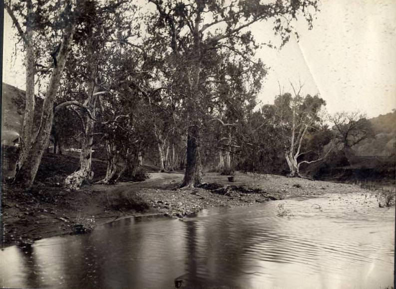 Near line of the San Jose and Los Gatos Interurban R.R., 1900s