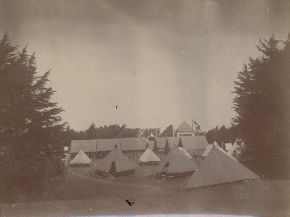 Tents in a park setting, Santa Clara County, 1906