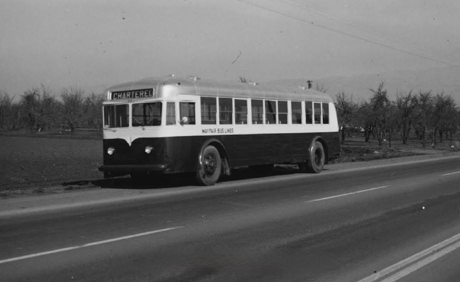 Mayfair Bus Line No. 53, 1953