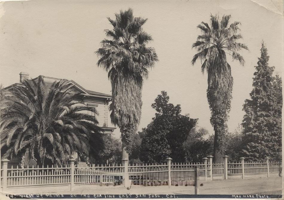 View of Palms on the car line, East San Jose, 1900