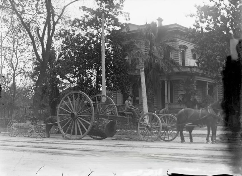 Horse and wagon hauling a large log, 1910s