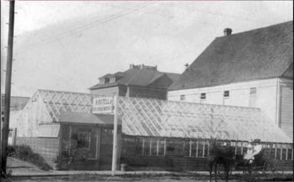 A. Axtell Jr. greenhouse located at 706 West 13th Street in Vancouver, 1911