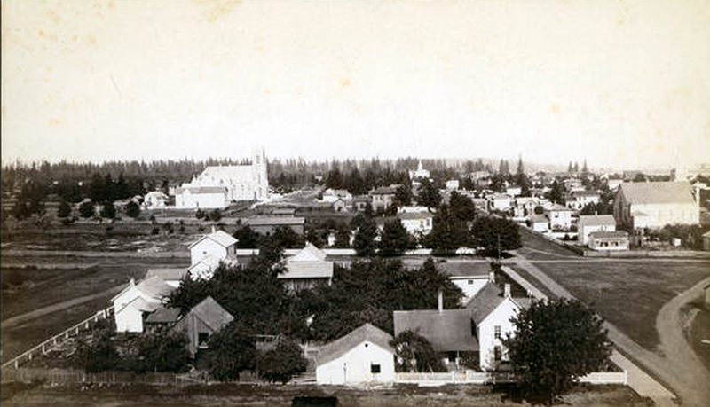 Early Vancouver looking east from the Court House and 11th and Franklin, 1889