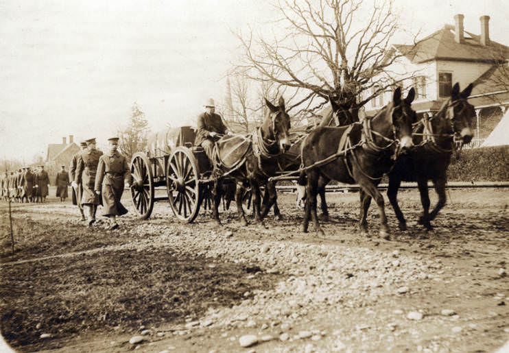 Floyd Gray, a civilian teamster, is driving the wagon at the Vancouver Barracks, 1910s