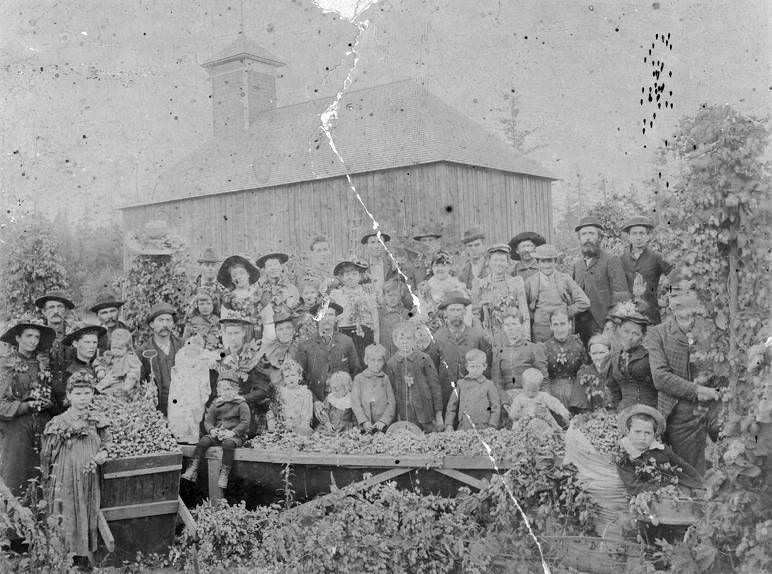 Hop Picking, 1896