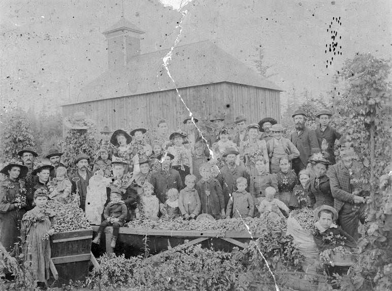 Hop Picking, 1896