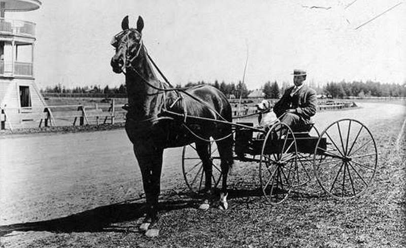 Horse and Carriage at Bagley Downs Race Track, 1909
