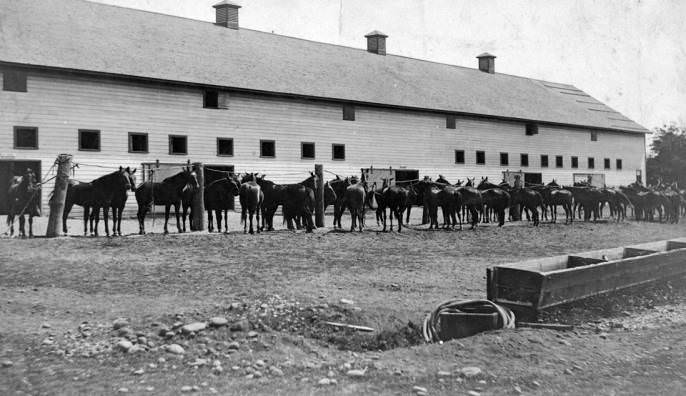 Horse stables possibly at the Vancouver Barracks, 1909