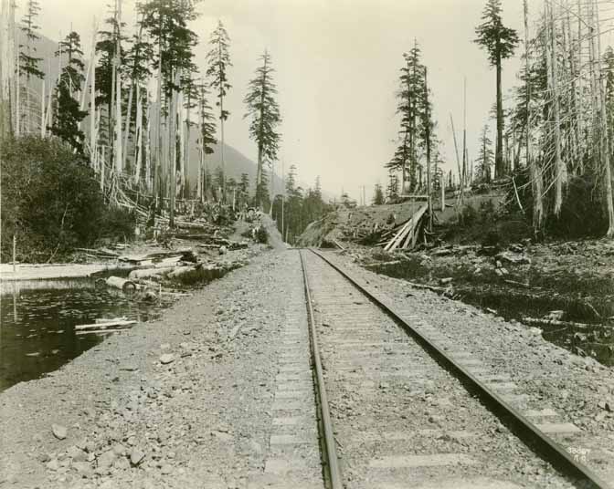 Logging railroad track and clearcut in Clallam County, 1918.