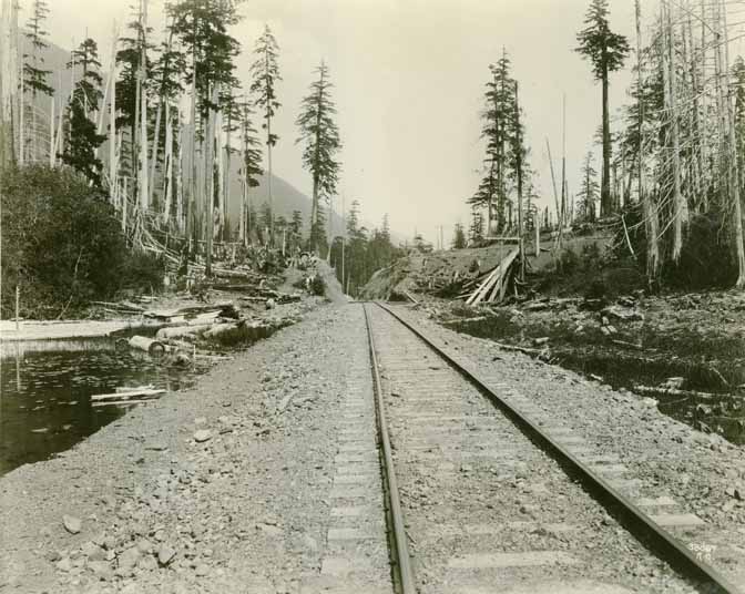 Logging railroad track and clearcut in Clallam County, 1918.