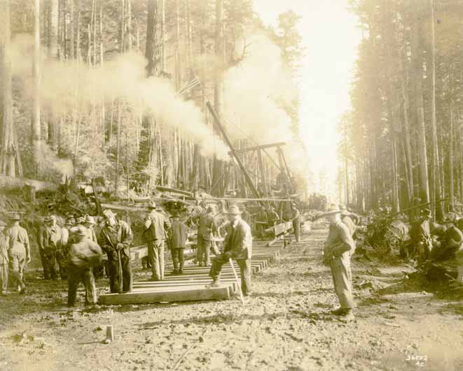 Logging railroad track, workers laying railroad ties, 1918