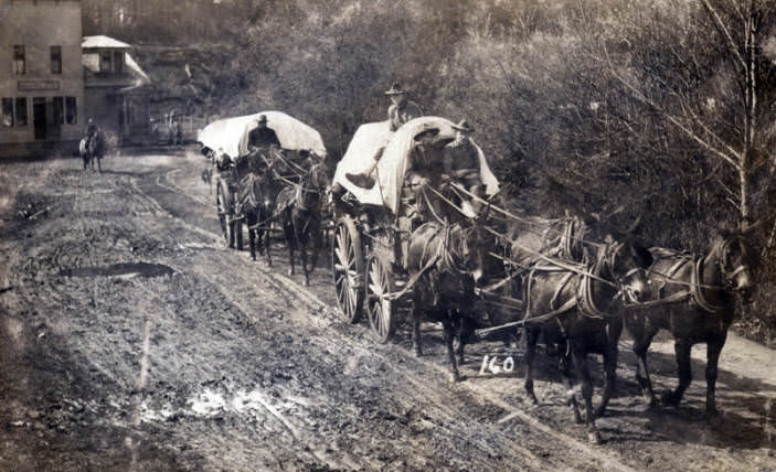 Two wagons pulled by mule teams being driven down a muddy road in front of a store building, 1909