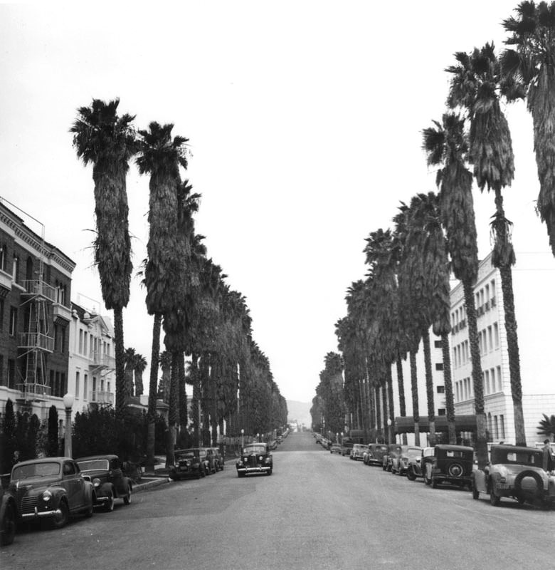 The palm-lined South Kenmore Avenue in Los Angeles.