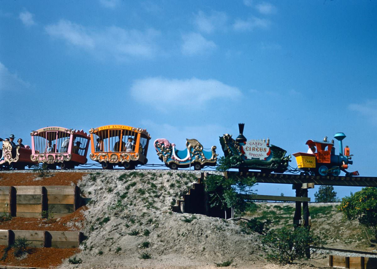 Fabulous Kodachrome Photos Show a Boy Growing up in the 1950s California