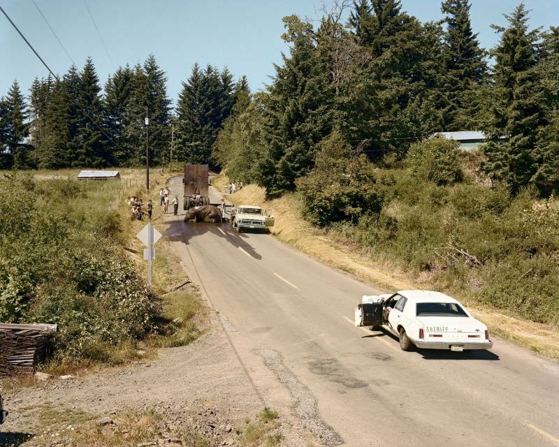 Exhausted Renegade Elephant, Woodland, Washington, June 1979