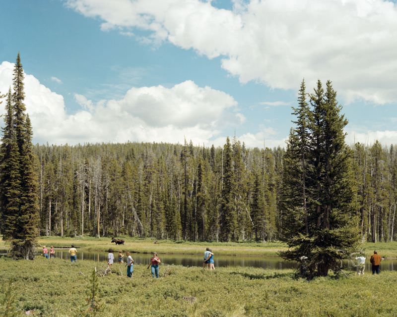 Yellowstone National Park, August 1979