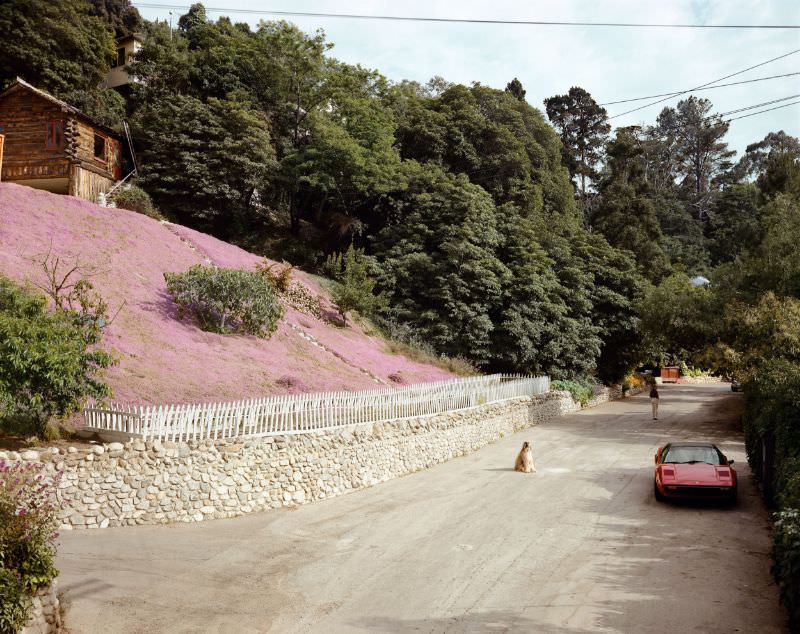 Rustic Canyon, Santa Monica, California, May 1979