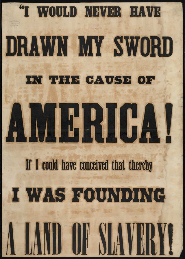 I would never have drawn my sword in the cause of America! If I could have conceived that thereby I was founding a land of slavery!