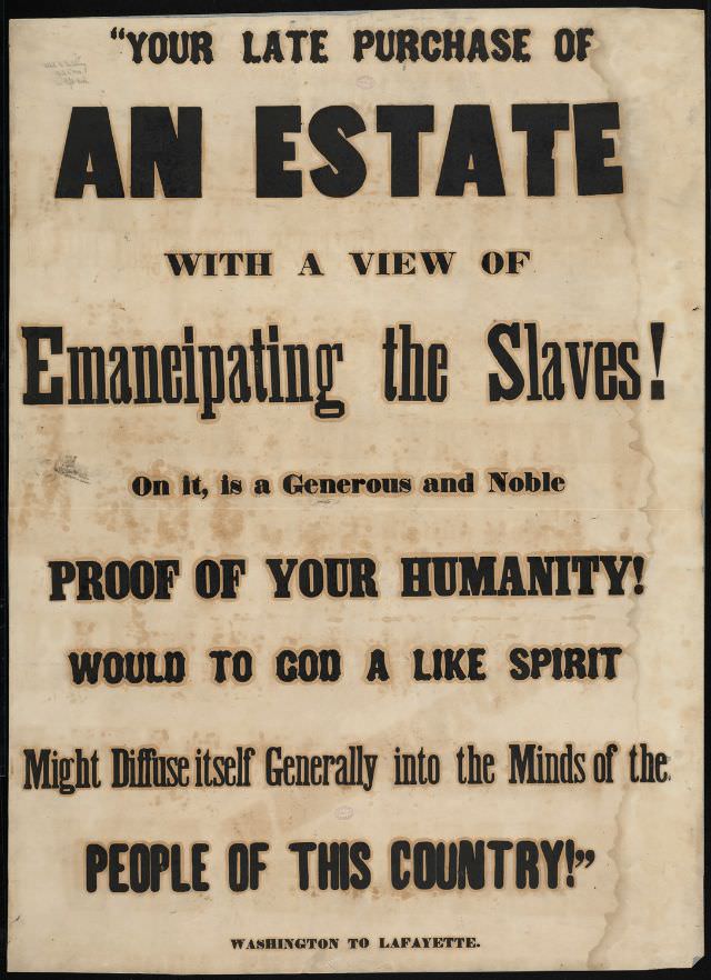 Your late purchase of an estate with a view of emancipating the slaves!