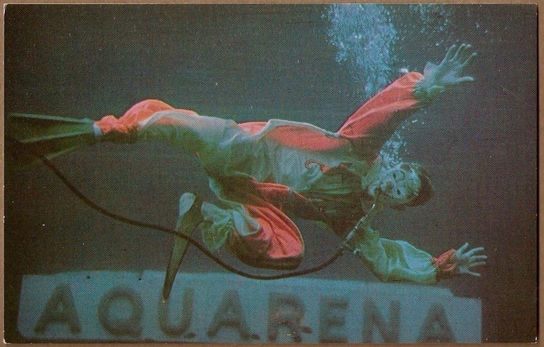 Aquarena Springs: The Strange amusement park that Showed the World's Underwater Clown
