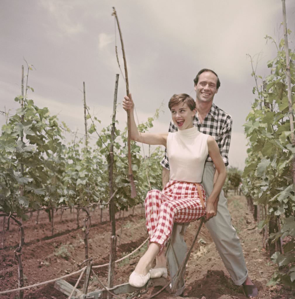 Audrey Hepburn with Mel Ferrer ploughing a vineyard with her husband, 1955