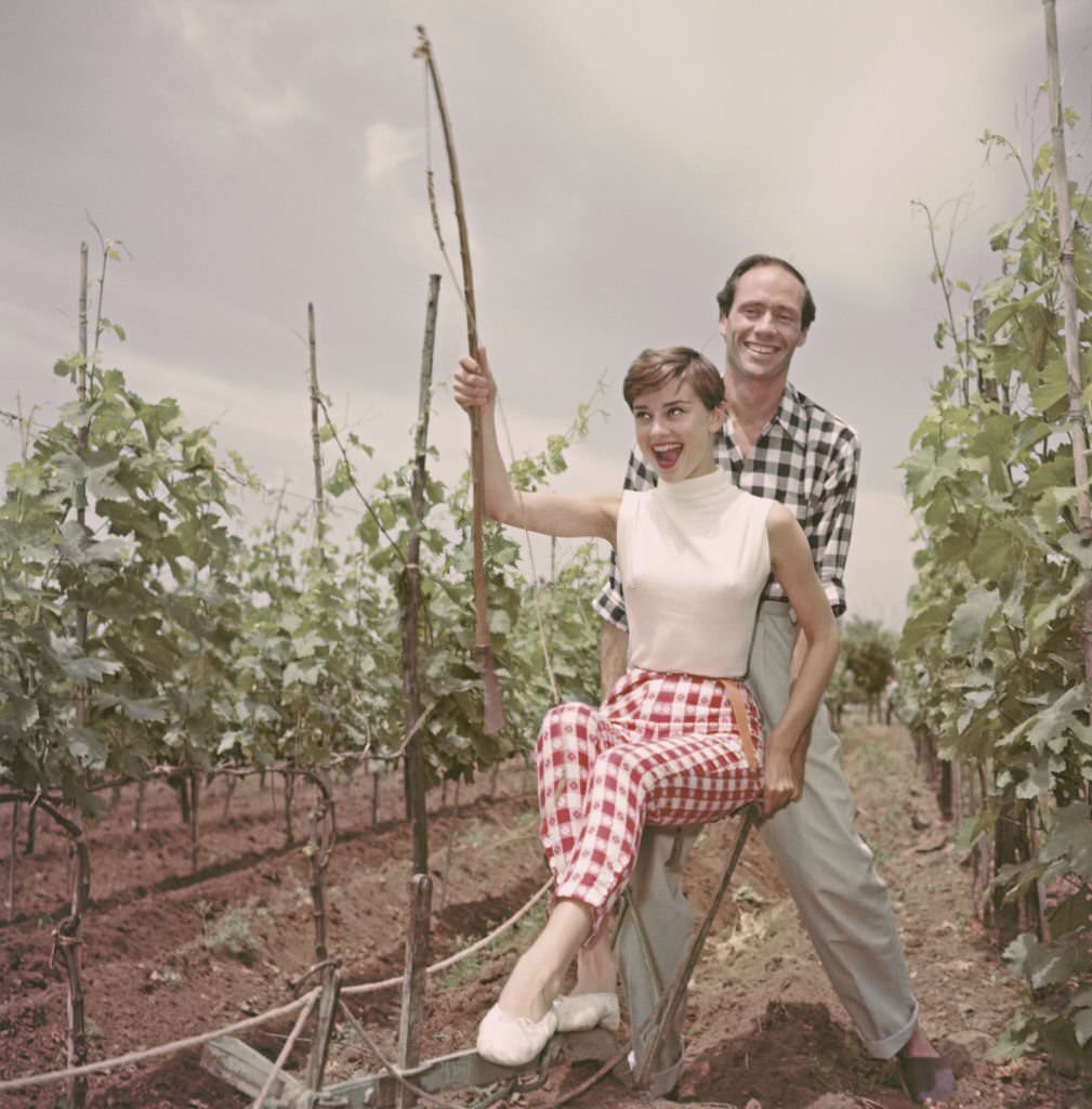 Audrey Hepburn with Mel Ferrer ploughing a vineyard with her husband, 1955
