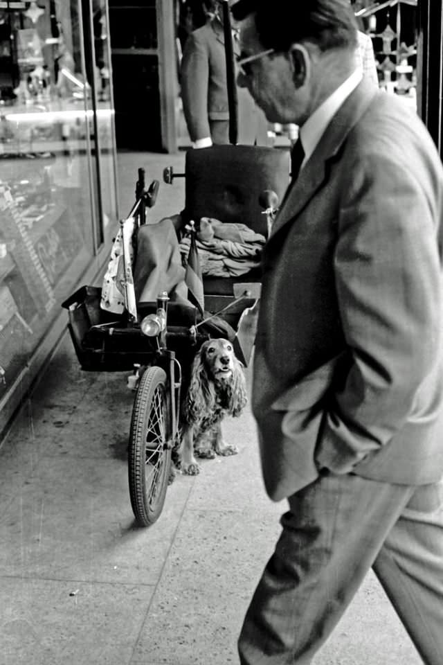 Fascinating Photos Showed Life in Berlin in 1970 by German photographer Heinrich Klaffs