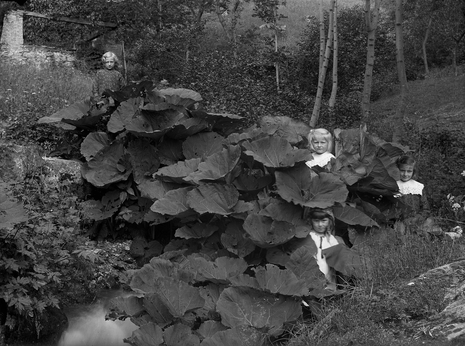 Four children in leaves, Bleniotal