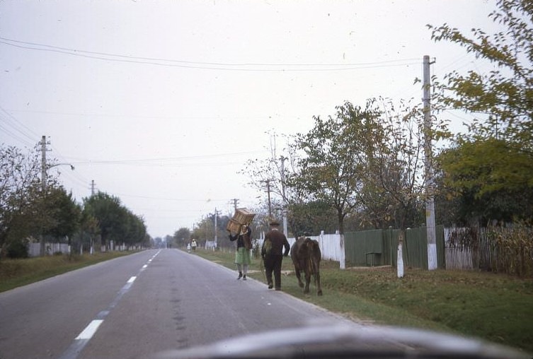 On the road from Bucharest to Sinaia, 1971