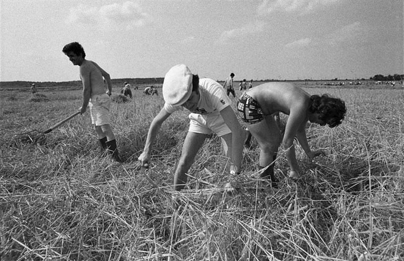 What Bucharest looked like in the 1970s Through These Stunning Photos