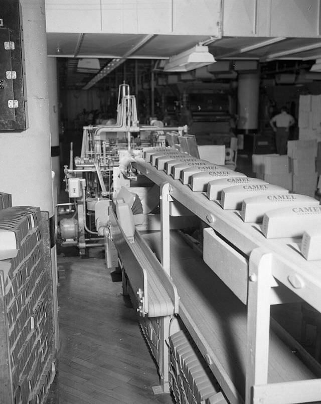 Inside the Camel Cigarette Factory of North Carolina in 1948