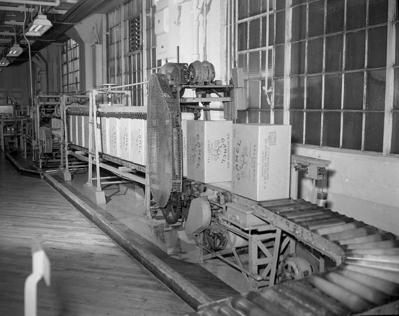 Inside the Camel Cigarette Factory of North Carolina in 1948