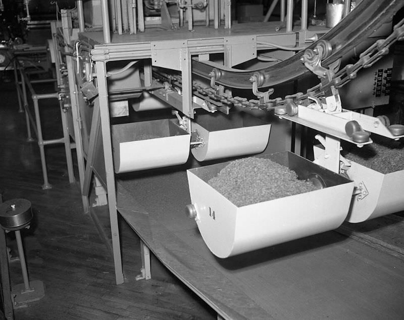 Inside the Camel Cigarette Factory of North Carolina in 1948