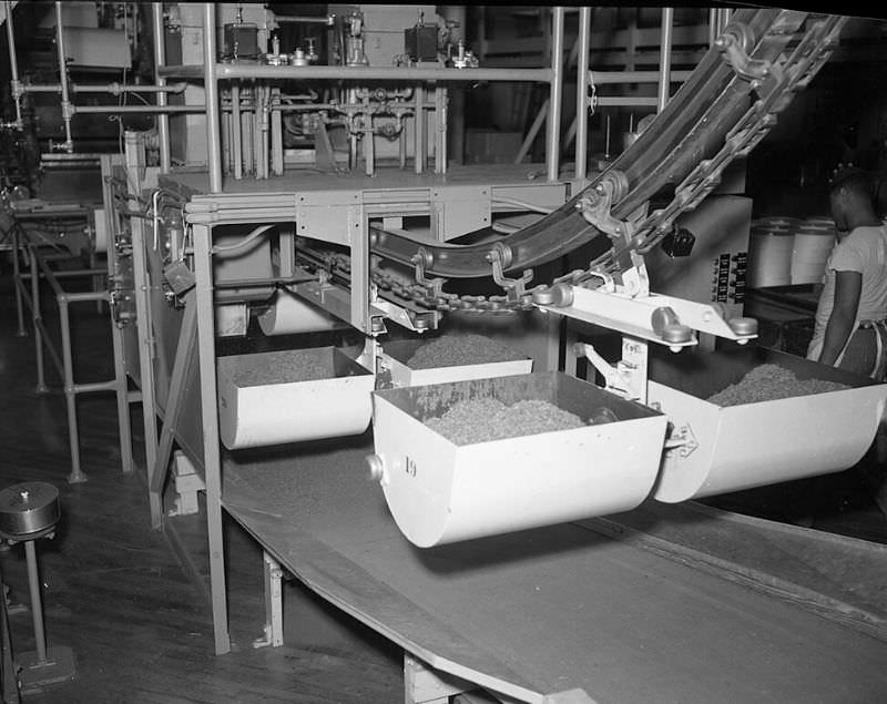 Inside the Camel Cigarette Factory of North Carolina in 1948