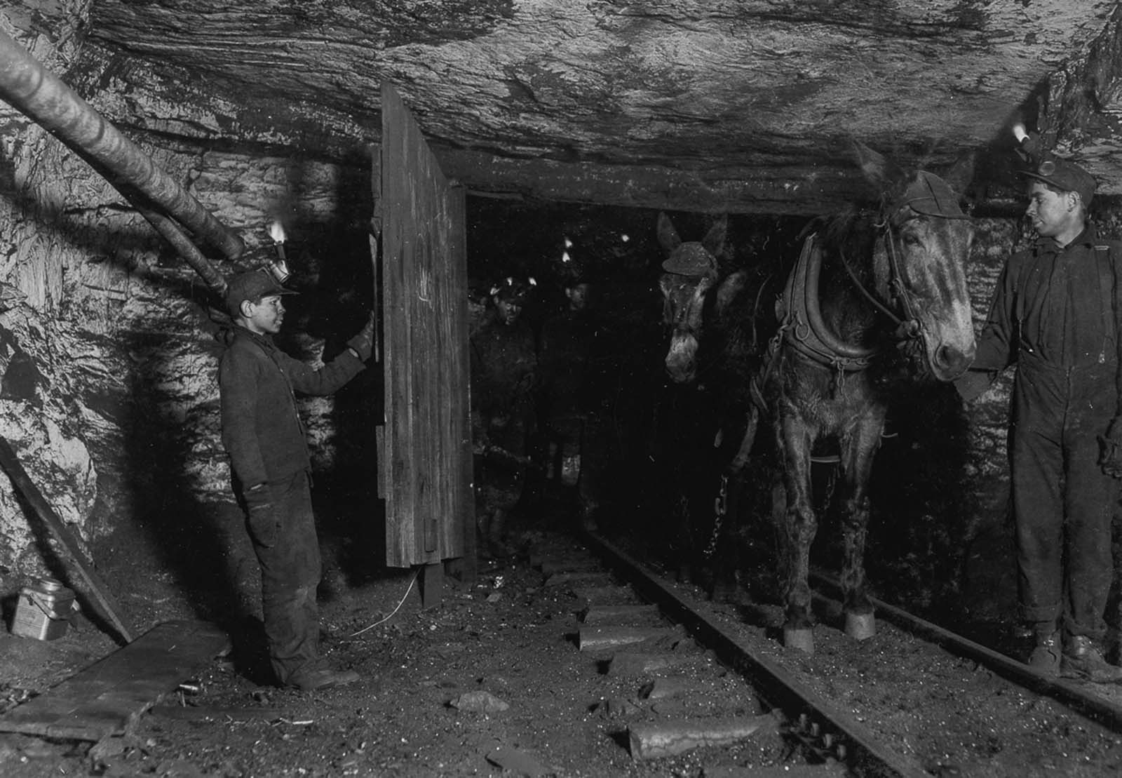 Willie Bryden, age 14, holds the door for a mule cart in a Pennsylvania mine, 1911