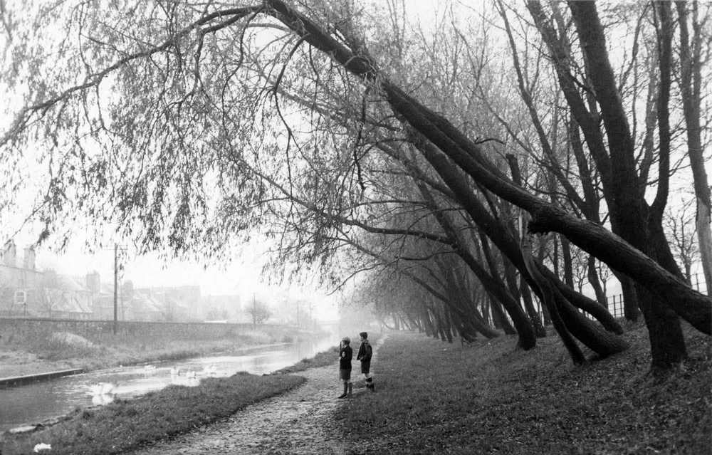 Children at Canal Swans Willows, Near Harrison Road, Edinburgh, 1960