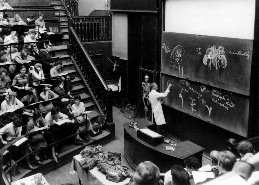 Kidney Anatomy Class at University, Edinburgh, 1958