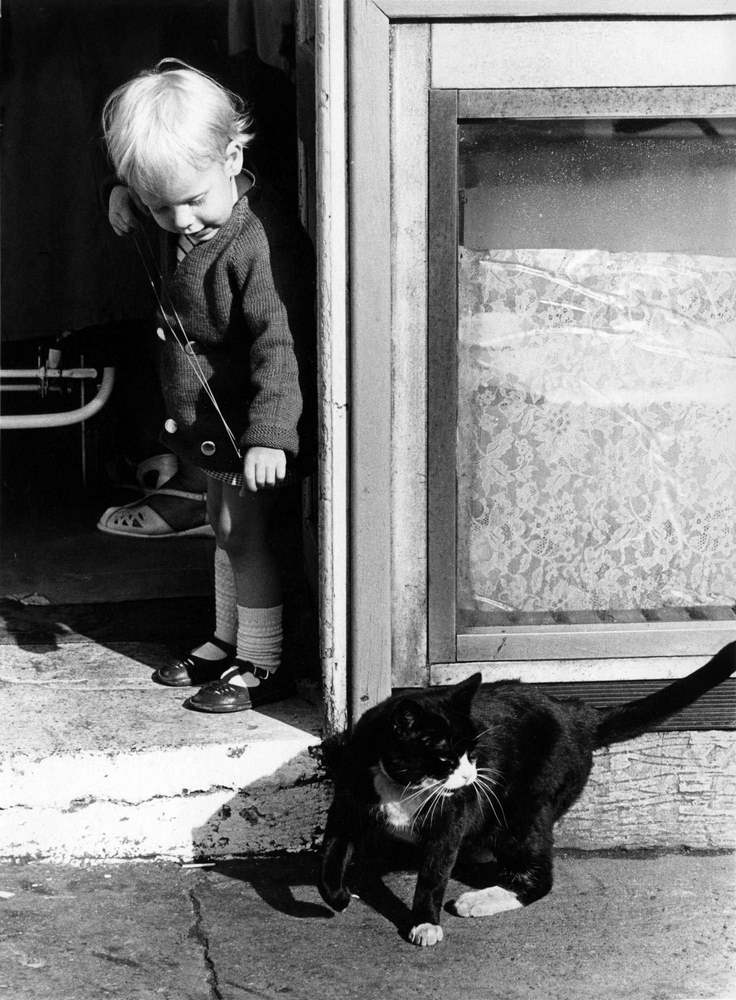 Girl with a cat, Edinburgh, 1965