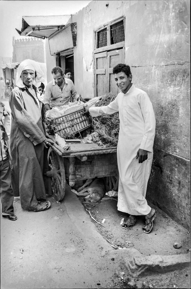 Delivery, Cairo, July 1981
