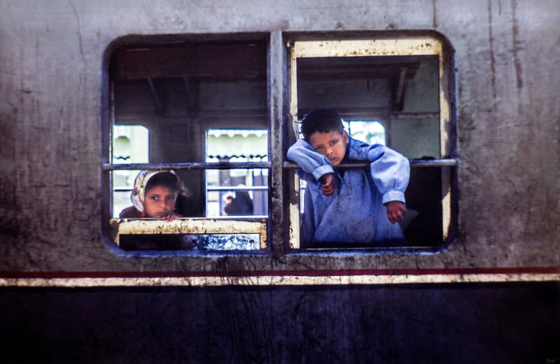 Windows, Cairo, August 1981