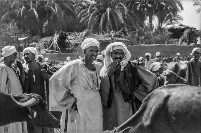 Circumspection, Luxor, August 1981