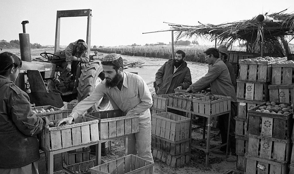 Expulsion of Israelis near the Egypt border a few days before the restitution of the Sinai Peninsula to Egypt, 1982