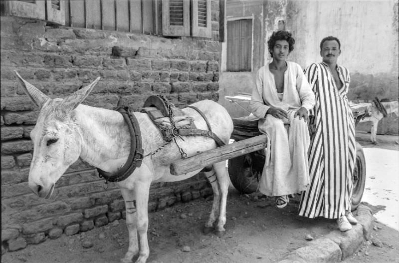 Delivery man and his brother, Aswan, August 1981