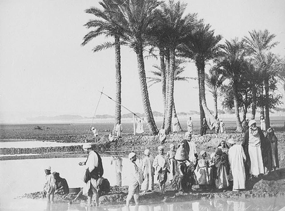 Along the Nile, Cairo, 1880