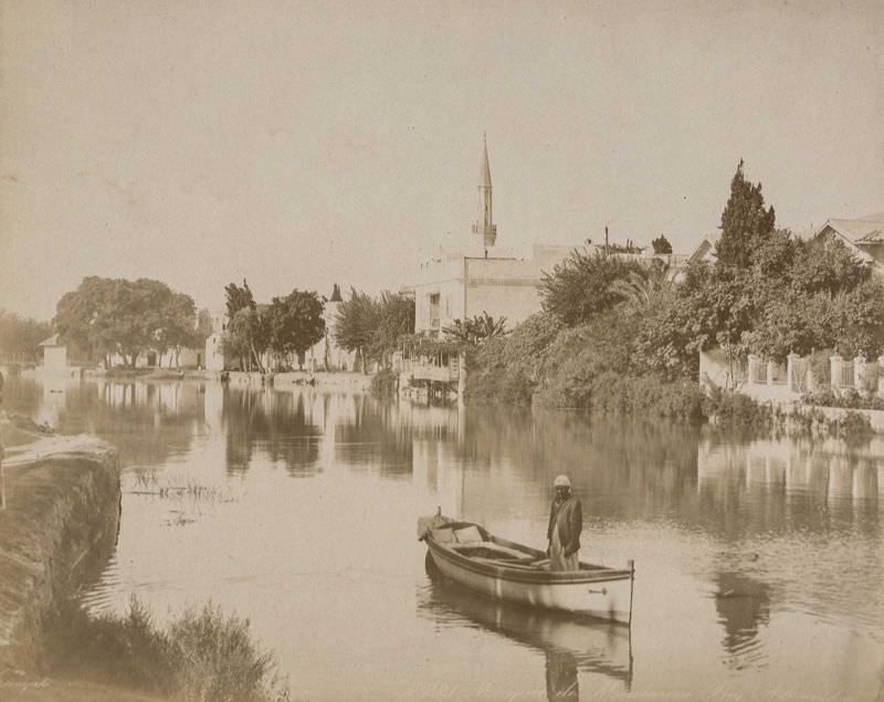 River view, Alexandria